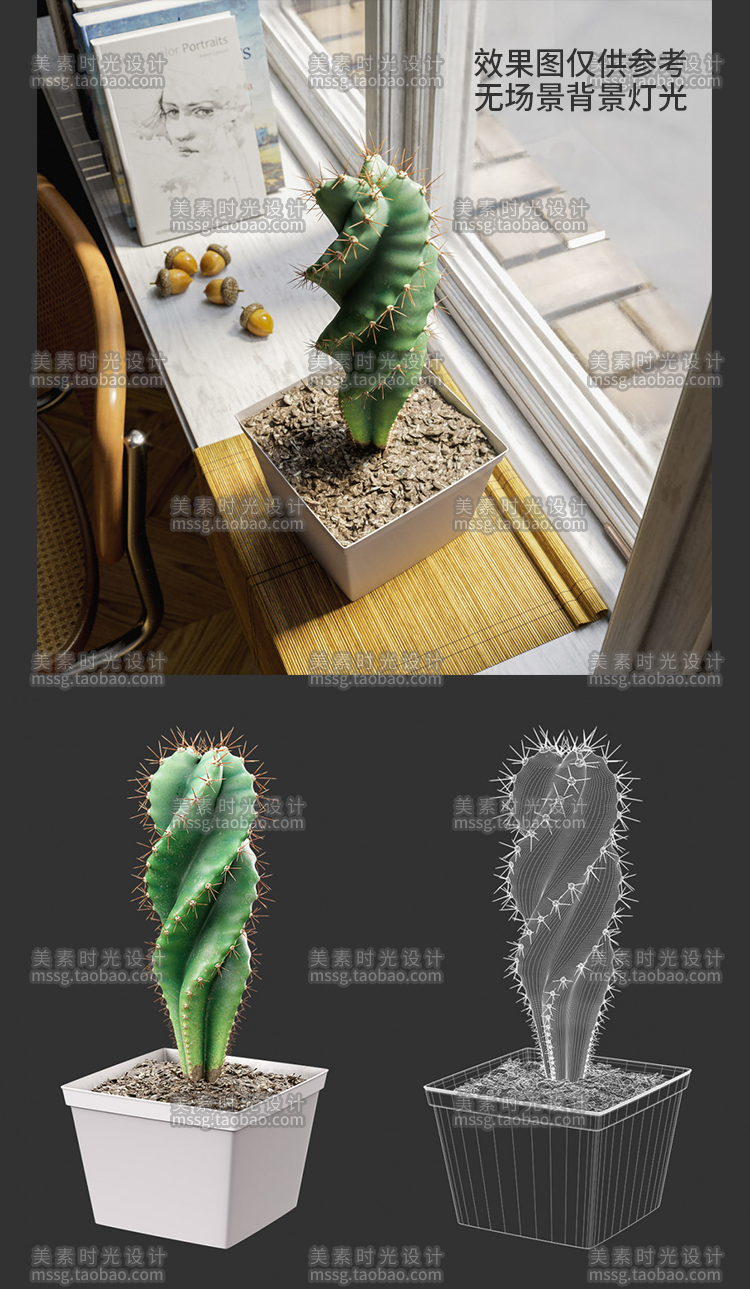 【仙人掌模型】C4D仙人掌仙人球植物盆景栽绿植室内装饰模型3D渲染OC素材